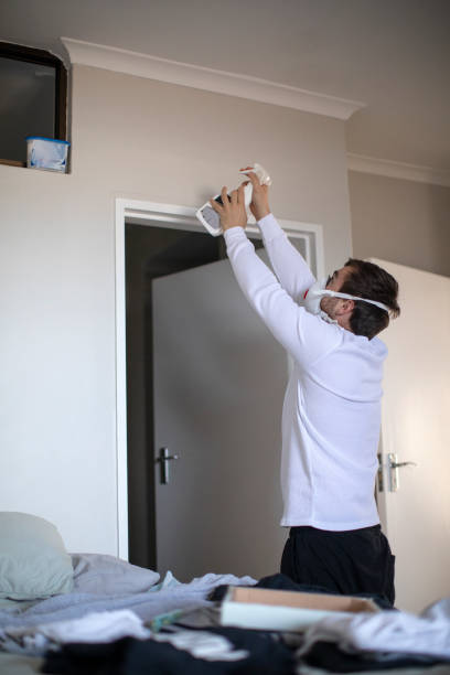 Best Water Damage & Mold Remediation  in Gold Beach, OR