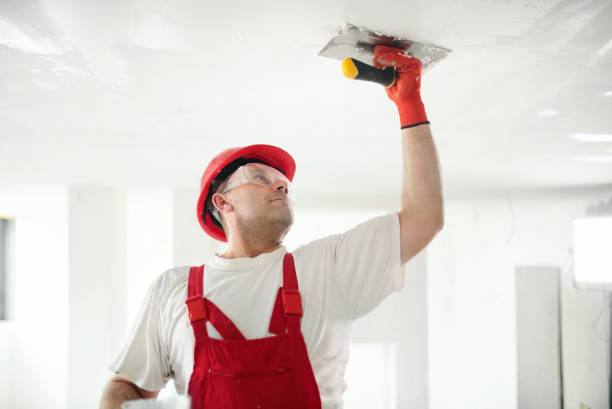 Best Mold Prevention Services  in Gold Beach, OR